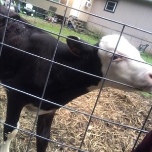 Meet your Posher, Sara